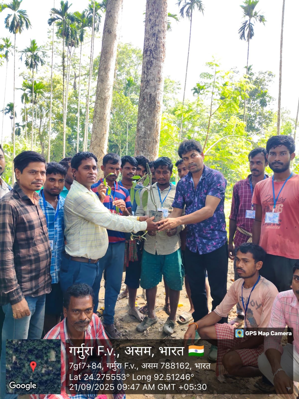 Celebration of 76th Van Mahotsav 2025 at Gharmura Range - Photo 2