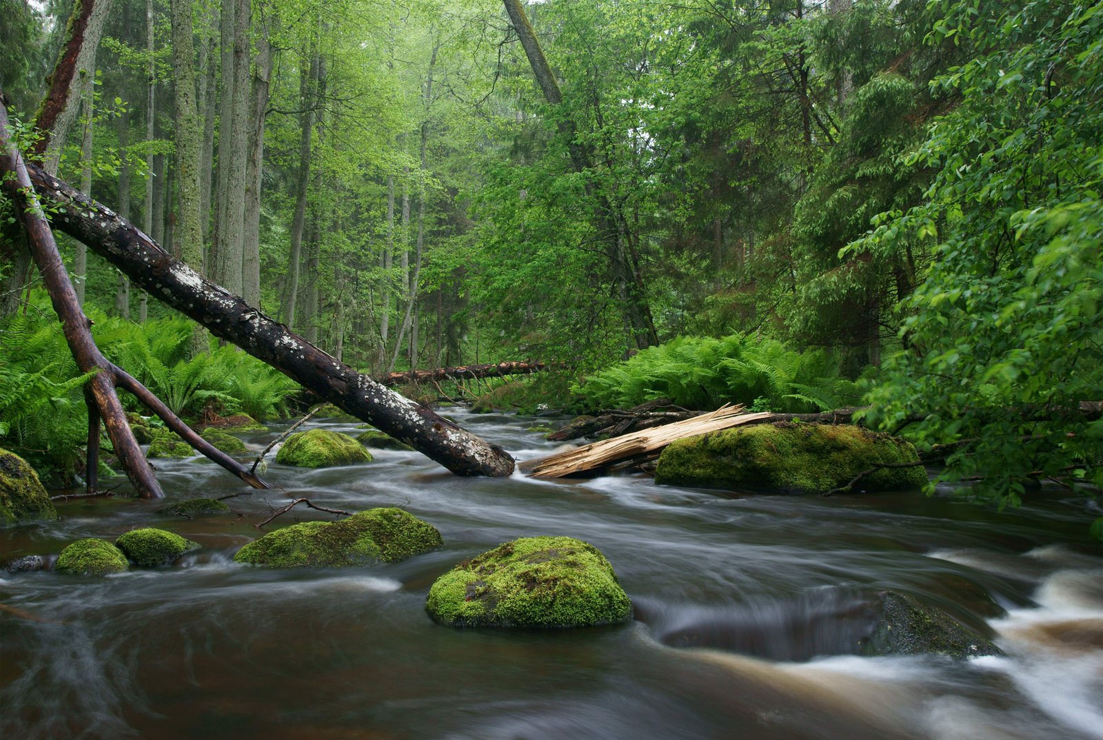 Enviroment